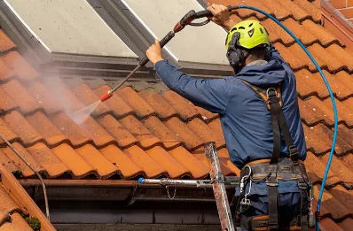 Démoussage et hydrofuge de toiture à Lapège